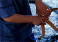 Boy with seastar